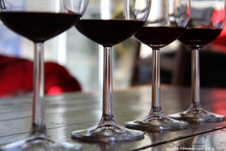 Terra Do Sul Wines By Garagiste Jose Romeu De Abreu & The Wine Making Process [4]