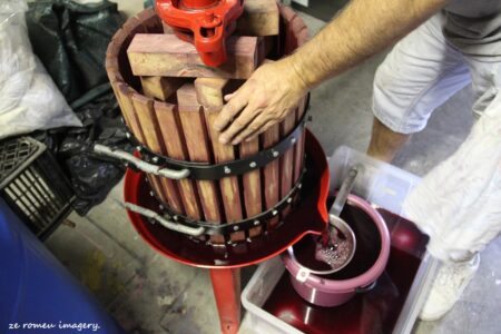Terra Do Sul Wines By Garagiste Jose Romeu De Abreu & The Wine Making Process [40]