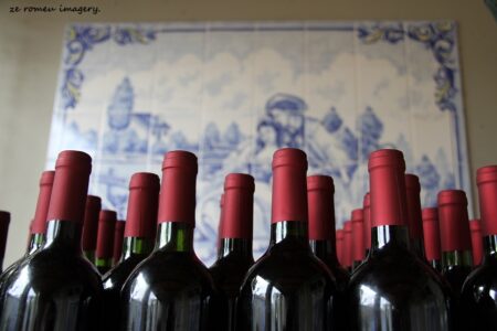 Terra Do Sul Wines By Garagiste Jose Romeu De Abreu & The Wine Making Process [42]