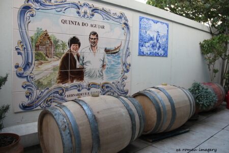 Terra Do Sul Wines By Garagiste Jose Romeu De Abreu & The Wine Making Process [43]