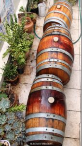 Terra Do Sul Wines By Garagiste Jose Romeu De Abreu & The Wine Making Process [44]