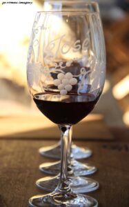 Terra Do Sul Wines By Garagiste Jose Romeu De Abreu & The Wine Making Process [45]