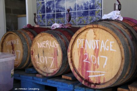 Terra Do Sul Wines By Garagiste Jose Romeu De Abreu & The Wine Making Process [47]