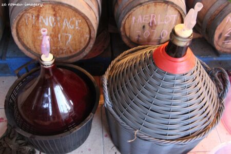 Terra Do Sul Wines By Garagiste Jose Romeu De Abreu & The Wine Making Process [48]
