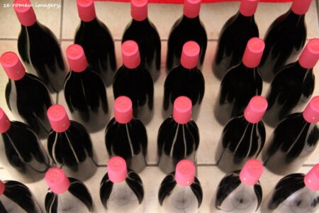 Terra Do Sul Wines By Garagiste Jose Romeu De Abreu & The Wine Making Process [49]