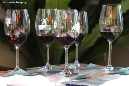 Terra Do Sul Wines By Garagiste Jose Romeu De Abreu & The Wine Making Process [50]