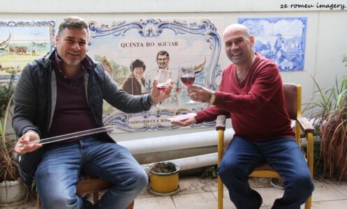 Terra Do Sul Wines By Garagiste Jose Romeu De Abreu & The Wine Making Process [52]
