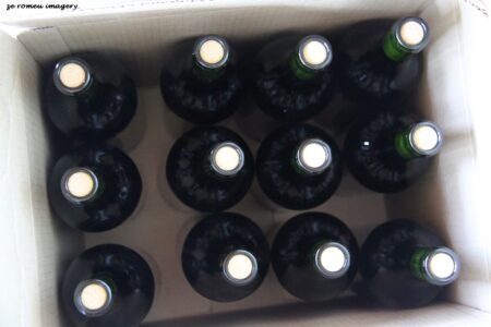 Terra Do Sul Wines By Garagiste Jose Romeu De Abreu & The Wine Making Process [54]