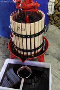 Terra Do Sul Wines By Garagiste Jose Romeu De Abreu & The Wine Making Process [55]