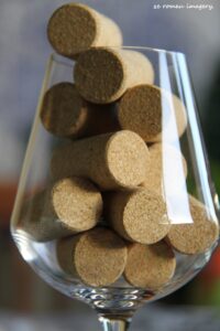 Terra Do Sul Wines By Garagiste Jose Romeu De Abreu & The Wine Making Process [56]