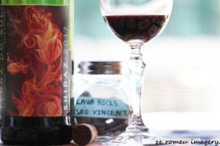Terra Do Sul Wines By Garagiste Jose Romeu De Abreu & The Wine Making Process [57]