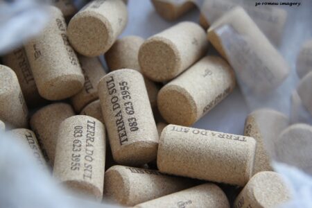 Terra Do Sul Wines By Garagiste Jose Romeu De Abreu & The Wine Making Process [58]
