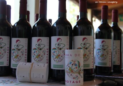 Terra Do Sul Wines By Garagiste Jose Romeu De Abreu & The Wine Making Process [8]