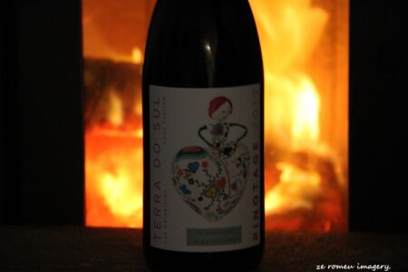 Terra Do Sul Wines By Garagiste Jose Romeu De Abreu & The Wine Making Process [9]