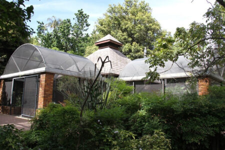 The Company Gardens Cape Town City Arcchitecture (12)