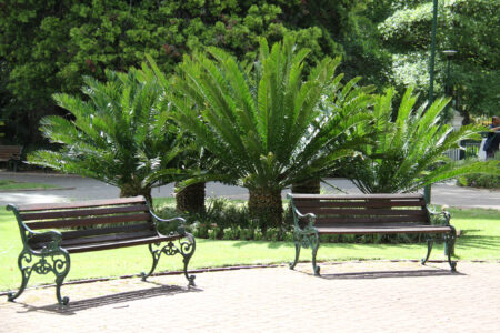 The Company Gardens Cape Town City Arcchitecture (15)