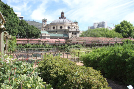 The Company Gardens Cape Town City Arcchitecture (2)