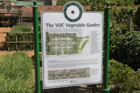 The Company Gardens Cape Town City Arcchitecture (3)