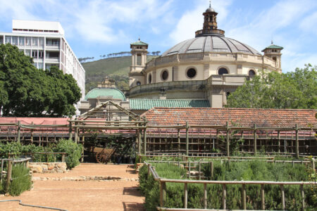 The Company Gardens Cape Town City Arcchitecture (4)