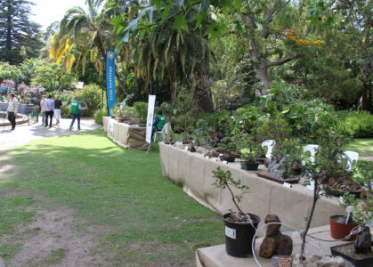 The Company Gardens Cape Town City Arcchitecture (5)