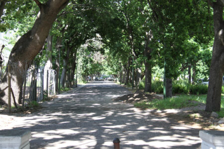 The Company Gardens Cape Town City Arcchitecture (57)