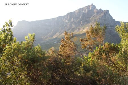 The Lions Head Walk & Hike Tour [16]