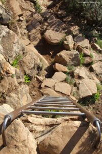 The Lions Head Walk & Hike Tour [24]