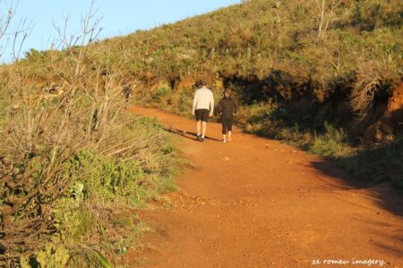The Lions Head Walk & Hike Tour [3]