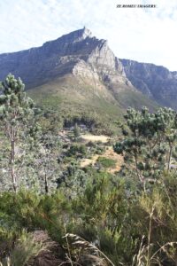 The Lions Head Walk & Hike Tour [5]