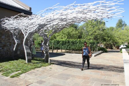 Tokara Wine Estate [4]