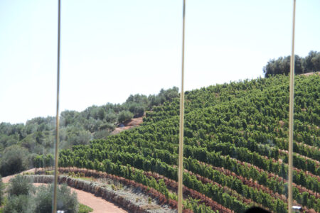 Tokara Wine Estate [5]