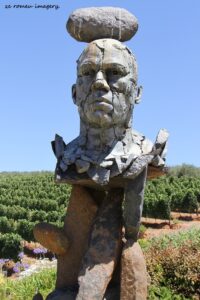 Tokara Wine Estate [8]