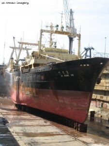 Tours of Western Cape Harbours, Sturrock Dry Docks, Hout Bay, Kalk Bay, Saint Helena Bay [1]