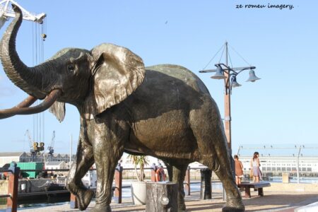 Tours of Western Cape Harbours, Sturrock Dry Docks, Hout Bay, Kalk Bay, Saint Helena Bay [11]