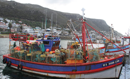 Tours of Western Cape Harbours, Sturrock Dry Docks, Hout Bay, Kalk Bay, Saint Helena Bay [18]