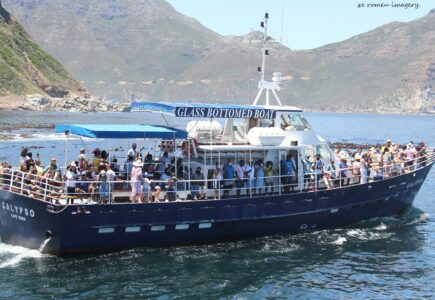 Tours of Western Cape Harbours, Sturrock Dry Docks, Hout Bay, Kalk Bay, Saint Helena Bay [21]