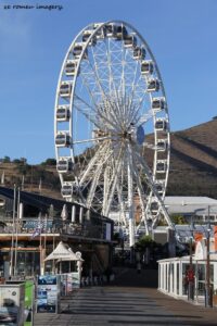Tours of Western Cape Harbours, Sturrock Dry Docks, Hout Bay, Kalk Bay, Saint Helena Bay [29]
