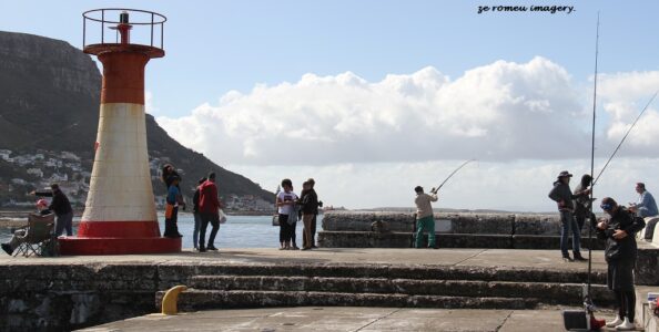 Tours of Western Cape Harbours, Sturrock Dry Docks, Hout Bay, Kalk Bay, Saint Helena Bay [3]