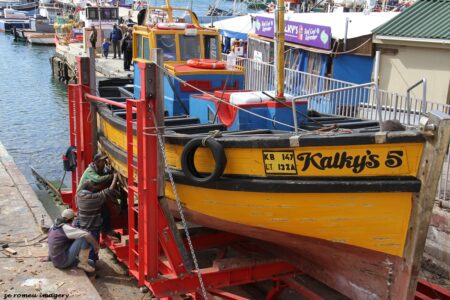 Tours of Western Cape Harbours, Sturrock Dry Docks, Hout Bay, Kalk Bay, Saint Helena Bay [34]