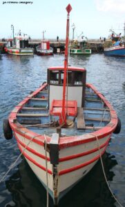 Tours of Western Cape Harbours, Sturrock Dry Docks, Hout Bay, Kalk Bay, Saint Helena Bay [41]