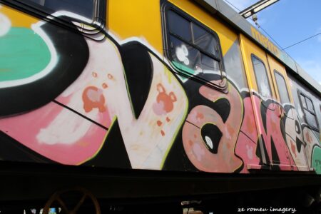 Tours of Western Cape Harbours, Sturrock Dry Docks, Hout Bay, Kalk Bay, Saint Helena Bay [42]