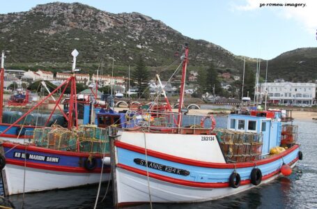 Tours of Western Cape Harbours, Sturrock Dry Docks, Hout Bay, Kalk Bay, Saint Helena Bay [43]