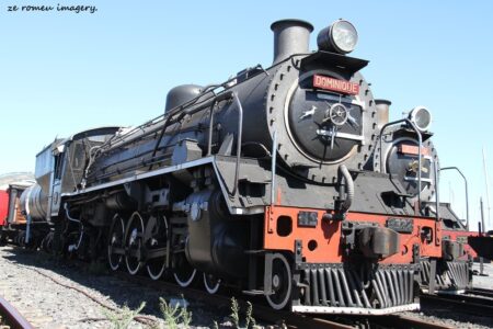 Tours of Western Cape Harbours, Sturrock Dry Docks, Hout Bay, Kalk Bay, Saint Helena Bay [47]