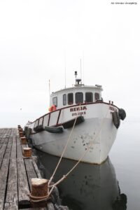 Tours of Western Cape Harbours, Sturrock Dry Docks, Hout Bay, Kalk Bay, Saint Helena Bay [49]