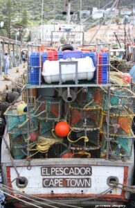 Tours of Western Cape Harbours, Sturrock Dry Docks, Hout Bay, Kalk Bay, Saint Helena Bay [7]