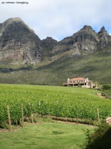 Uva Mira Mountain Vineyards