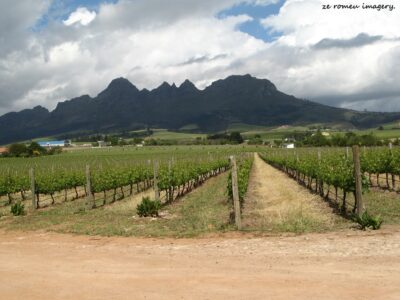 Uva Mira Wines [1], Stellenbosch