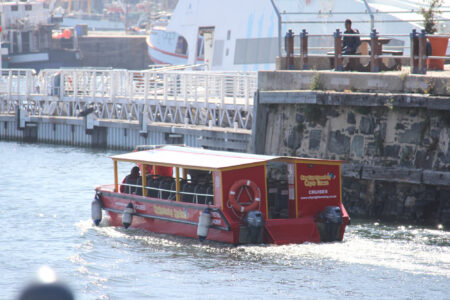 V & A WATERFRONT CAPE TOWN (37)
