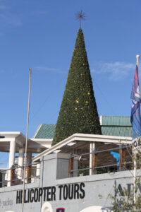 V & A WATERFRONT CAPE TOWN (9)