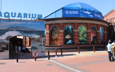 V&A Waterfront Cape Town (1)